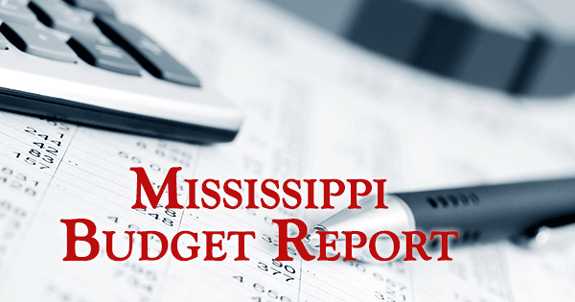 MS Budget Report
